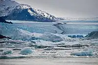 View from the Argentino Lake