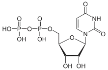 Skeletal formula of uridine diphosphate