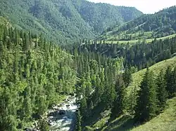 The Ursul River in Ongudaysky District