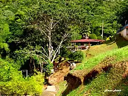 Gazebos near Dos Bocas Lake