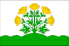 Flag of Vítězná