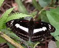 At Jairampur, Arunachal Pradesh, India