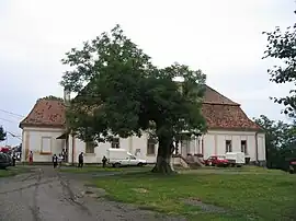 Voivodeni castle