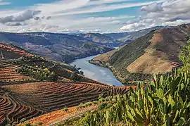 Alto Douro Vinhateiro