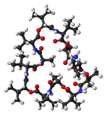 Ball-and-stick model of the valinomycin molecule