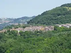 Panoramic view