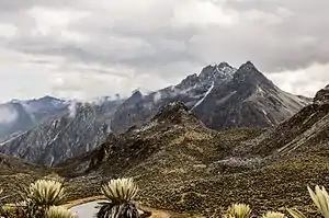 Alpina tundra at Mifafí Valley