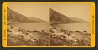 Stereoscopic image of Valley Cove, Somes Sound. (1870s)