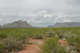 Similar view of Threemile Mountain (left) and Beach Mountains (right) in 2008