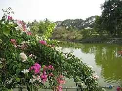 Vanganga Lake, Dadra