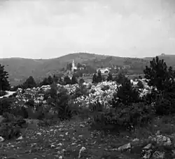 Slivje in 1955