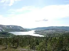 Coniferous forest near Vatnvatet lake, Bodø