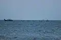 A view of fishing boats from the beach