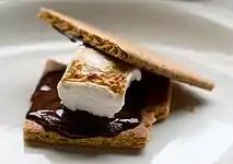 A homemade s'more