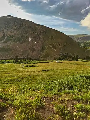 Illegal off-roading of a vehicle on Rollins Pass near Mount Epworth and Deadman's Lake. The alpine tundra is extremely fragile and can take 100–500 years to fully recover..mw-parser-output cite.citation{font-style:inherit;word-wrap:break-word}.mw-parser-output .citation q{quotes:"\"""\"""'""'"}.mw-parser-output .citation:target{background-color:rgba(0,127,255,0.133)}.mw-parser-output .id-lock-free a,.mw-parser-output .citation .cs1-lock-free a{background:url("//upload.wikimedia.org/wikipedia/commons/6/65/Lock-green.svg")right 0.1em center/9px no-repeat}.mw-parser-output .id-lock-limited a,.mw-parser-output .id-lock-registration a,.mw-parser-output .citation .cs1-lock-limited a,.mw-parser-output .citation .cs1-lock-registration a{background:url("//upload.wikimedia.org/wikipedia/commons/d/d6/Lock-gray-alt-2.svg")right 0.1em center/9px no-repeat}.mw-parser-output .id-lock-subscription a,.mw-parser-output .citation .cs1-lock-subscription a{background:url("//upload.wikimedia.org/wikipedia/commons/a/aa/Lock-red-alt-2.svg")right 0.1em center/9px no-repeat}.mw-parser-output .cs1-ws-icon a{background:url("//upload.wikimedia.org/wikipedia/commons/4/4c/Wikisource-logo.svg")right 0.1em center/12px no-repeat}.mw-parser-output .cs1-code{color:inherit;background:inherit;border:none;padding:inherit}.mw-parser-output .cs1-hidden-error{display:none;color:#d33}.mw-parser-output .cs1-visible-error{color:#d33}.mw-parser-output .cs1-maint{display:none;color:#3a3;margin-left:0.3em}.mw-parser-output .cs1-format{font-size:95%}.mw-parser-output .cs1-kern-left{padding-left:0.2em}.mw-parser-output .cs1-kern-right{padding-right:0.2em}.mw-parser-output .citation .mw-selflink{font-weight:inherit}"Alpine Tundra Ecosystem – Rocky Mountain National Park (U.S. National Park Service)". Nps.gov..mw-parser-output cite.citation{font-style:inherit;word-wrap:break-word}.mw-parser-output .citation q{quotes:"\"""\"""'""'"}.mw-parser-output .citation:target{background-color:rgba(0,127,255,0.133)}.mw-parser-output .id-lock-free a,.mw-parser-output .citation .cs1-lock-free a{background:url("//upload.wikimedia.org/wikipedia/commons/6/65/Lock-green.svg")right 0.1em center/9px no-repeat}.mw-parser-output .id-lock-limited a,.mw-parser-output .id-lock-registration a,.mw-parser-output .citation .cs1-lock-limited a,.mw-parser-output .citation .cs1-lock-registration a{background:url("//upload.wikimedia.org/wikipedia/commons/d/d6/Lock-gray-alt-2.svg")right 0.1em center/9px no-repeat}.mw-parser-output .id-lock-subscription a,.mw-parser-output .citation .cs1-lock-subscription a{background:url("//upload.wikimedia.org/wikipedia/commons/a/aa/Lock-red-alt-2.svg")right 0.1em center/9px no-repeat}.mw-parser-output .cs1-ws-icon a{background:url("//upload.wikimedia.org/wikipedia/commons/4/4c/Wikisource-logo.svg")right 0.1em center/12px no-repeat}.mw-parser-output .cs1-code{color:inherit;background:inherit;border:none;padding:inherit}.mw-parser-output .cs1-hidden-error{display:none;color:#d33}.mw-parser-output .cs1-visible-error{color:#d33}.mw-parser-output .cs1-maint{display:none;color:#3a3;margin-left:0.3em}.mw-parser-output .cs1-format{font-size:95%}.mw-parser-output .cs1-kern-left{padding-left:0.2em}.mw-parser-output .cs1-kern-right{padding-right:0.2em}.mw-parser-output .citation .mw-selflink{font-weight:inherit}"Stay the Trail Colorado - FAQ". Archived from the original on January 20, 2016. Retrieved February 25, 2016.