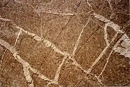 Veined gabbro with 90° cracks, near Sgurr na Stri, Skye