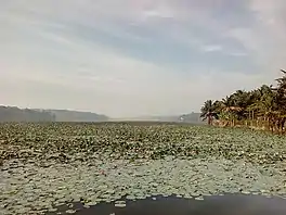 View of Vellayani lake