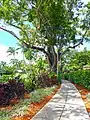 Landscaped path around pool