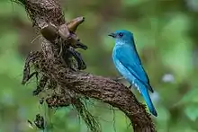 At Dandeli, Karnataka, India