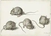 Drawing in waterpaint by Jacques de Gheyn, Four times a mouse