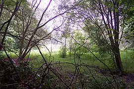 View from the point where the bridge used to be along the old lake