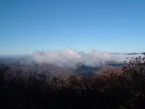 View from Springer Mountain in November