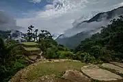 Overview of Ciudad Perdida