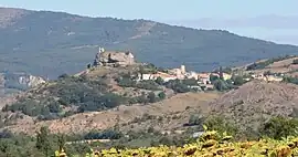 A general view of the village of Mison and the castle