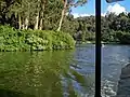 View of Pykara lake from a boat