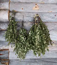 Finnish birch vihta