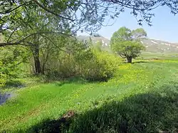 Landscape near Chanaghchi