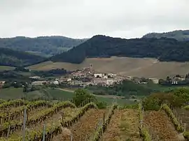 A general view of Villelongue-d'Aude