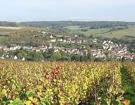 A general view of Villiers-Saint-Denis