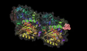 Binding site of vinblastine