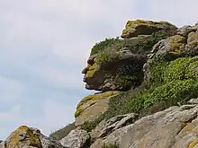 Shape of a face on a cliff