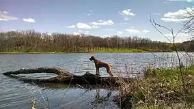 Johnson-Sauk Trail Lake