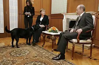 Konni sniffs Merkel, seated, during her meeting with Putin, also seated.