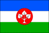 Flag of Chotýšany