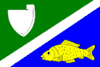 Flag of Jaroslav