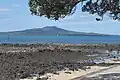 View of Rangitoto Island from Milford Beach