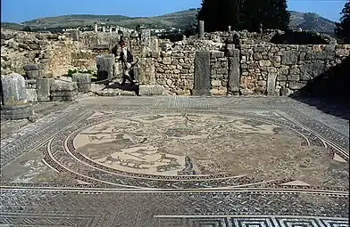 Mosaic from the House of Orpheus; Volubilis, Morocco