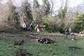 Volunteers clearing the picnic meadow