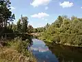 Vorskla River near Novi Sanzary