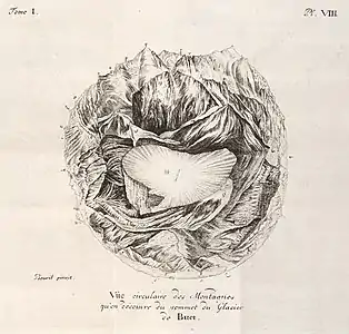 "Vue circulaire des montagnes qu'on découvre du sommet du Glacier de Buet", Horace-Benedict de Saussure