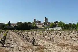 A general view of Saint-Laurent-des-Arbres