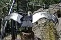 Andean condor