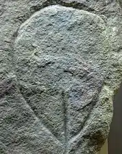 A palaeolithic, petroglyph of a vulva