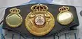 WBA championship belt