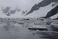 Kayaking in Waddington Bay