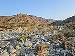 The Wadi Helo seasonal watercourse